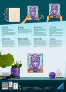 Malen nach Zahlen - Dreaming Owl