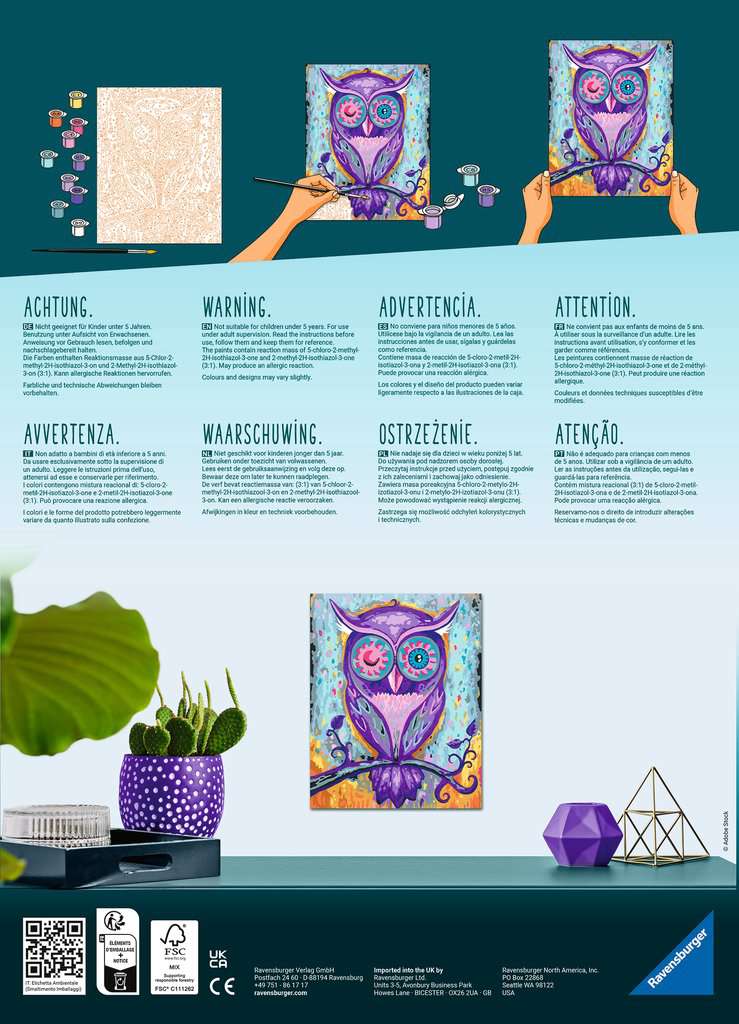 Malen nach Zahlen - Dreaming Owl