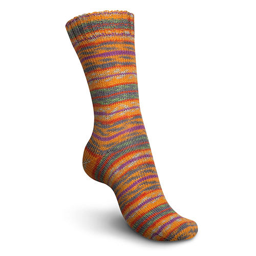 Regia 4f. Design evje color