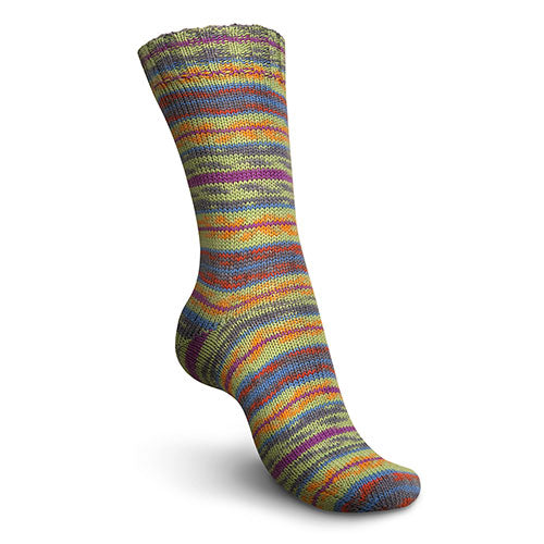 Regia 4f. Design ose color