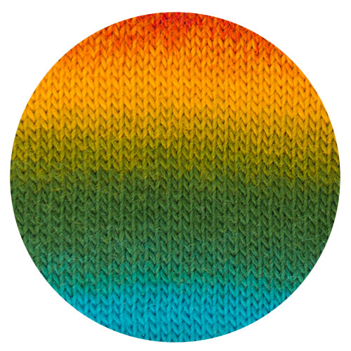 Woolly Hugs YearSocks Regenbogen