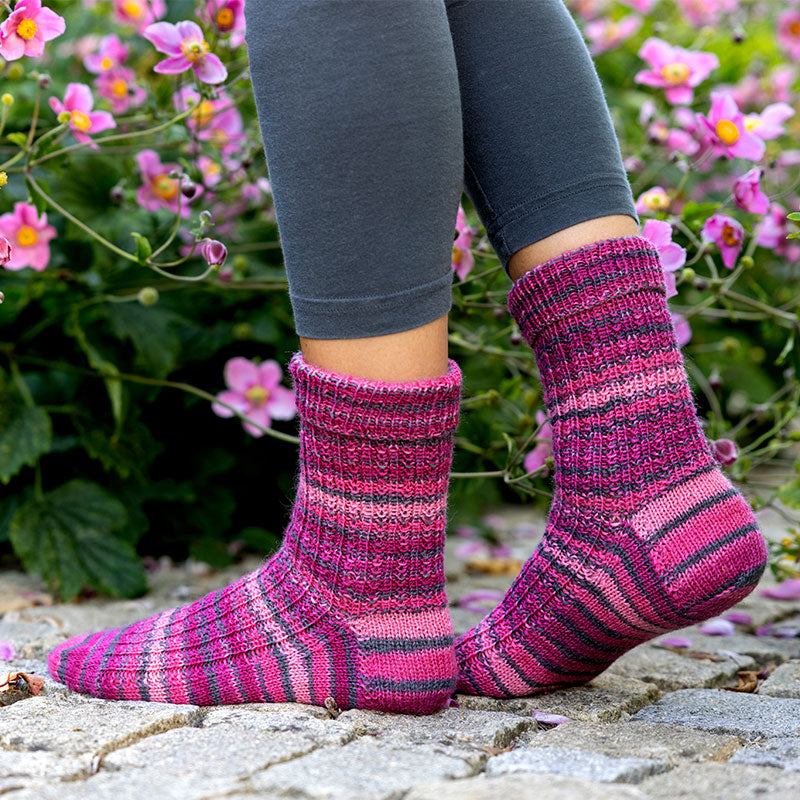 Hot Socks 6f. "Lugano"