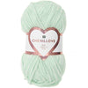Chenillove mint