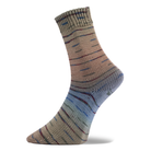 G.S. Alpin Stretch steinpfad