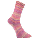 Golden Socks Alicante 18 beere