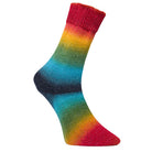 G.S. Nessel regenbogen