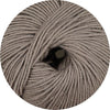 Merino Extrafine 120 taupe
