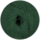 Merino Extrafine 120 tanne