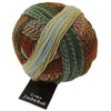Zauberball Crazy Flussbett