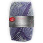 Fjord Socks 4f. zum Schnäppchenpreis